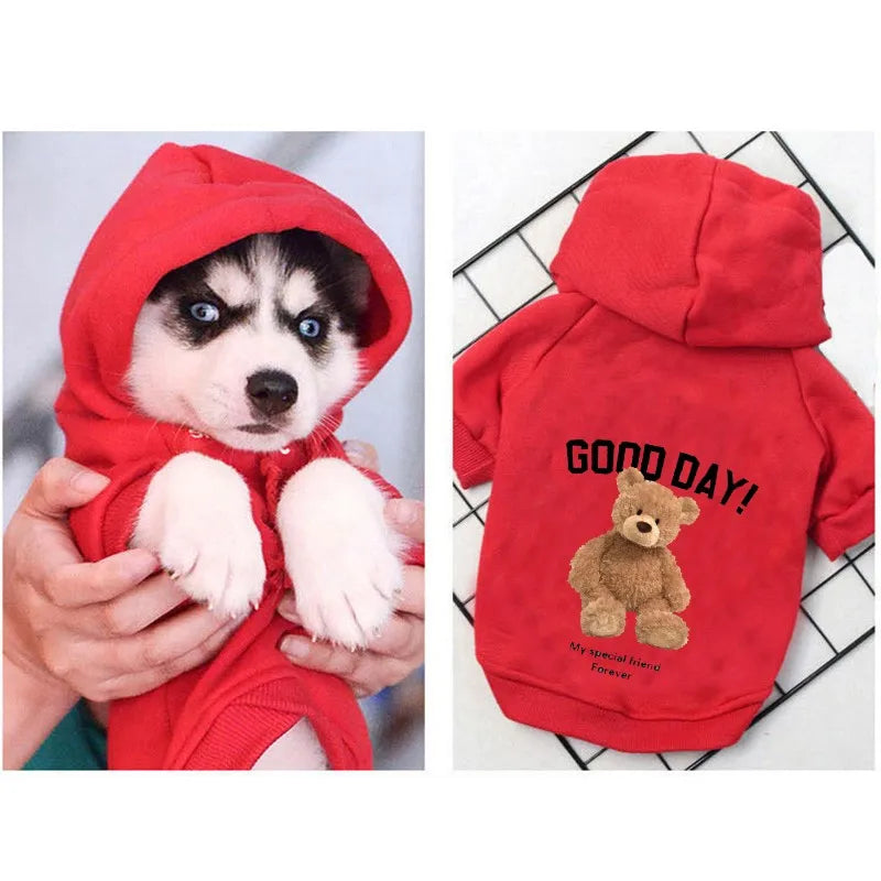 Cute Bear Dog Clothes