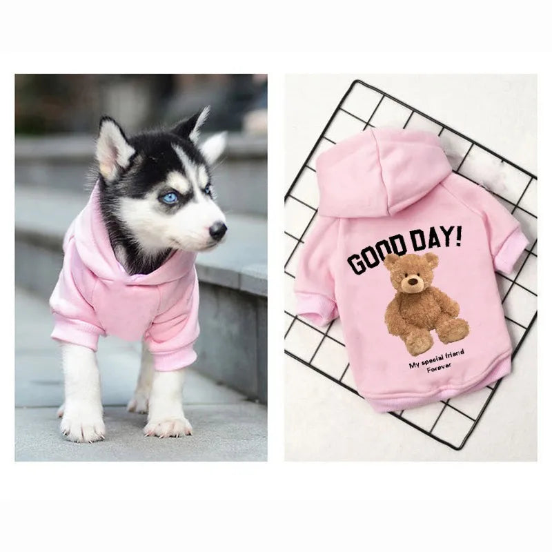 Cute Bear Dog Clothes